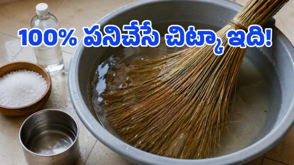 చీపురను ఉప్పు నీటిలో నానబెడితే.. ఆ సమస్యలన్నీ మాయం, నెట్టింట వైరల్ అవుతున్న క్రేజీ ట్రిక్!