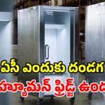 ఇదేందయ్యా ఇది.. ఈ ఫ్రిడ్జ్‌లో మనుషులు కూర్చోవచ్చా? జపానోళ్లది బుర్రే బుర్ర!