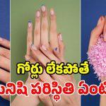 గోర్లు లేకుండా మనిషి బతకలేడా? అవి పెరగడం ఆపేస్తే అంతే సంగతులా? నమ్మలేని నిజాలు!