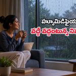 ఇంట్లో తేమగా ఉందని హ్యూమిడిఫైయర్ వాడుతున్నారా? నిపుణులు ఎందుకు వద్దంటున్నారో తెలిస్తే..