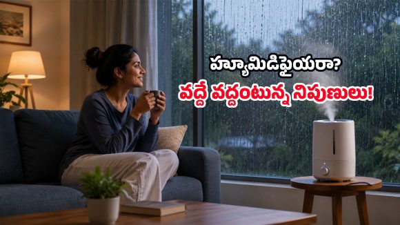 ఇంట్లో తేమగా ఉందని హ్యూమిడిఫైయర్ వాడుతున్నారా? నిపుణులు ఎందుకు వద్దంటున్నారో తెలిస్తే..