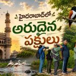 కాంక్రీట్ జంగిల్ కాదు.. పక్షుల స్వర్గధామంగా మారుతున్న భాగ్యనగరం!