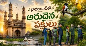 Karthika Deepam 2 Serial Today Episode July 29th ‘కార్తీక దీపం 2’ సీరియల్‌: పారిజాతం తనకు అమ్ముడుపోయిందన్న మాలిని    