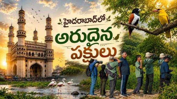 కాంక్రీట్ జంగిల్ కాదు.. పక్షుల స్వర్గధామంగా మారుతున్న భాగ్యనగరం!