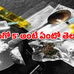 ఫ్రూట్స్, ఫిష్ కోడ్‌లతో డ్రగ్స్ దందా.. హైదరాబాద్‌లో నయా ట్రెండ్!
