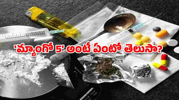 ఫ్రూట్స్, ఫిష్ కోడ్‌లతో డ్రగ్స్ దందా.. హైదరాబాద్‌లో నయా ట్రెండ్!