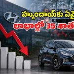 హ్యుందాయ్‌కు బిగ్ షాక్.. ఏప్రిల్-జూన్‌లో కుప్పకూలిన లాభాలు.. ఎగుమతులు సైతం డౌన్!