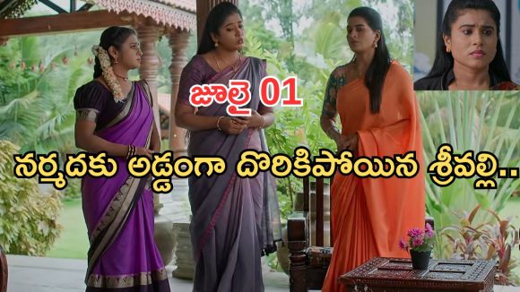 Illu Illalu Pillalu Today Episodes: వల్లికి మైండ్ బ్లాక్.. మేనేజర్ వలలో చిక్కుకున్న ప్రేమ.. డాక్టర్ కు నర్మద స్ట్రాంగ్ వార్నింగ్..