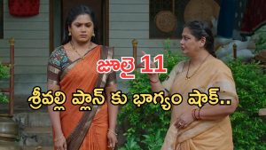 Illu Illalu Pillalu Today Episodes: విశ్వను కాపాడిన అమూల్య.. ఇదేం ట్విస్ట్.. శ్రీవల్లి మాస్టర్ ప్లాన్..