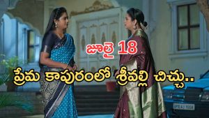 Illu Illalu Pillalu Today Episodes: హమ్మయ్య.. వల్లి కోరిక తీరింది.. భద్రకు ఫిట్టింగ్ పెట్టిన వల్లి.. ధీరజ్ కు షాక్..