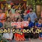 Illu Illalu Pillalu Today Episodes: భద్ర మాటతో ధీరజ్ షాక్.. ఫ్యామిలీ పిక్ అదిరిపోయింది.. వల్లి ప్లాన్ వర్కౌట్..?