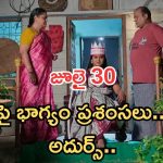 Illu Illalu Pillalu Today Episodes: ప్రేమను రెచ్చగొట్టిన భద్ర.. ధీరజ్ కన్నీళ్లు.. మహారాణిగా శ్రీవల్లి..