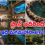 వాట్ ఏ ఐడియా సార్ జీ.. భార్యలు షాపింగ్ చేస్తుంటే భర్తలు చేపలు పట్టొచ్చు.. ఎక్కడో తెలుసా?