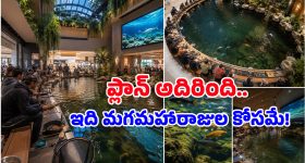వాట్ ఏ ఐడియా సార్ జీ.. భార్యలు షాపింగ్ చేస్తుంటే భర్తలు చేపలు పట్టొచ్చు.. ఎక్కడో తెలుసా?