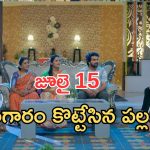 Intinti Ramayanam Today Episode: పల్లవికి కొత్త టెన్షన్.. బాబు పేరుకు ఫిదా.. దొంగగా మారిన పల్లవి..