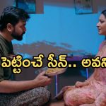 Intinti Ramayanam Today Episode: పల్లవికి శ్రీయ స్ట్రాంగ్ వార్నింగ్.. పాపం పల్లవి.. కన్నీళ్లు పెట్టుకున్న అవని..