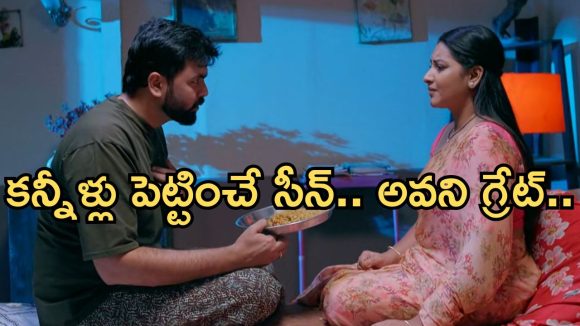 Intinti Ramayanam Today Episode: పల్లవికి శ్రీయ స్ట్రాంగ్ వార్నింగ్.. పాపం పల్లవి.. కన్నీళ్లు పెట్టుకున్న అవని..