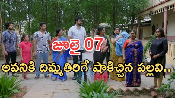 Intinti Ramayanam Today Episode: పల్లవికి క్లాస్ పీకిన భానుమతి.. కమల్ దెబ్బకు ఫ్యూజుల్ అవుట్..ఆస్తి కోసం రచ్చ..
