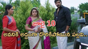 Intinti Ramayanam Today Episode: పల్లవికి కమల్ ఝలక్.. సత్యనారాయణ పూజ సక్సెస్.. ఊహించని ట్విస్ట్..