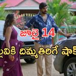 Intinti Ramayanam Today Episode: పల్లవికి అవని స్ట్రాంగ్ వార్నింగ్.. అశ్విన్ దెబ్బకు ఫ్యూజుల్ అవుట్.. దొంగగా మారిన పల్లవి..