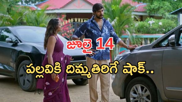 Intinti Ramayanam Today Episode: పల్లవికి అవని స్ట్రాంగ్ వార్నింగ్.. అశ్విన్ దెబ్బకు ఫ్యూజుల్ అవుట్.. దొంగగా మారిన పల్లవి..