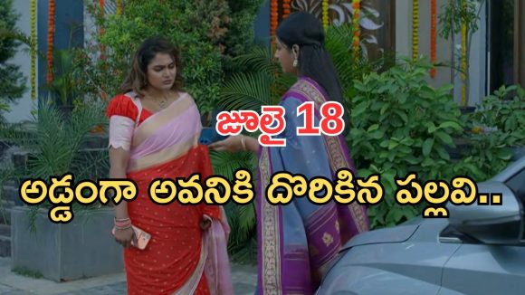 Intinti Ramayanam Today Episode: పల్లవికి ఘోర అవమానం.. అవనికి అడ్డంగా దొరికిన పల్లవి.. స్ట్రాంగ్ వార్నింగ్..