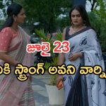 Intinti Ramayanam Today Episode: అశ్విన్ మాస్టర్ ప్లాన్.. అక్షయ్ కు షాకిచ్చిన అవని.. పల్లవి పై అనుమానం..