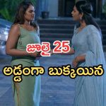 Intinti Ramayanam Today Episode: పల్లవికి టెన్షన్.. అడ్డంగా దొరికిపోయిన పల్లవి.. ఇదేం ట్విస్ట్ సామి..
