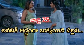 Ye Devi Varamo Neevu Manish: 'ఏ దేవి వరమో నీవు' మనీష్  ఎమోషనల్ స్టోరీ.. అయ్యో పాపం..