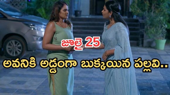 Intinti Ramayanam Today Episode: పల్లవికి టెన్షన్.. అడ్డంగా దొరికిపోయిన పల్లవి.. ఇదేం ట్విస్ట్ సామి..