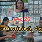Intinti Ramayanam Today Episode: అక్షయ్ తో అవని గొడవ.. పల్లవికి మరో టెన్షన్.. అశ్విన్, పల్లవి దొరికిపోతారా?