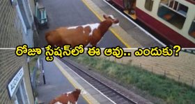 టాలీవుడ్ వీకెండ్ వార్ .. బాక్సాఫీస్ విన్నర్ ఎవరో ?