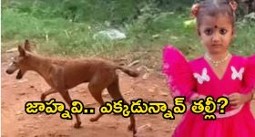 ఇలాంటి గాడ్జెట్స్ కోసమే కదా టెక్ ప్రియులు ఎదురుచూసేది.. ఫీచర్లు చూస్తే వెంటనే కొనాలనిపిస్తుంది!