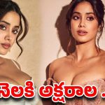 జాన్వీ కపూర్ మంత్లీ ఇన్‌కమ్ తెలిస్తే మైండ్ బ్లాకే!