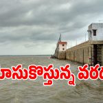 Krishna Basin: తెలంగాణ రైతులకు బిగ్ అప్‌డేట్.. రెండు తెలుగు రాష్ట్రాలకు నీళ్లు వచ్చేది అప్పుడే..?