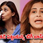మా ఆయనకే లేని నొప్పి మీకెందుకురా నాయనా?.. సాలిడ్ పంచ్ ఇచ్చిన వెటరన్ బ్యూటీ !