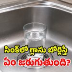 సెలవుల్లో ఊరెళ్తున్నారా? కిచెన్ సింక్‌లో గ్లాస్ నీళ్లు.. తిరిగి వచ్చేసరికి జరిగేది ఇదే!
