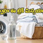 వాషింగ్ మెషీన్‌లో వెనిగర్ వేస్తే ఏమౌతుందో తెలుసా? ఇన్నాళ్లూ ఈ సూపర్ ట్రిక్ తెలియక నష్టపోయాం!