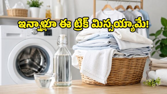 వాషింగ్ మెషీన్‌లో వెనిగర్ వేస్తే ఏమౌతుందో తెలుసా? ఇన్నాళ్లూ ఈ సూపర్ ట్రిక్ తెలియక నష్టపోయాం!