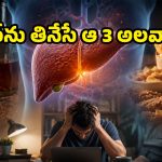 వైన్ తాగితే ఏం కాదు అనుకుంటున్నారా? 10,000 స్కాన్స్ చూశాక వైద్యులు చెప్పిన ఆ చేదు నిజం తెలిస్తే..