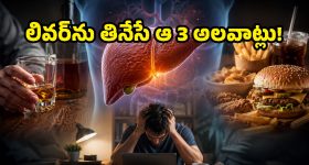 వైన్ తాగితే ఏం కాదు అనుకుంటున్నారా? 10,000 స్కాన్స్ చూశాక వైద్యులు చెప్పిన ఆ చేదు నిజం తెలిస్తే..