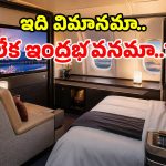 విమానం కాదు.. ఆకాశంలో తేలే 5-స్టార్ హోటల్.. ప్రయాణికులకు లగ్జరీ రూమ్స్!
