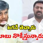 ఉక్కు పరిశ్రమ జగన్ పుణ్యమే.. చంద్రబాబుది ‘క్రెడిట్ డ్రామా’.. ఎంపీ అవినాష్ ఫైర్