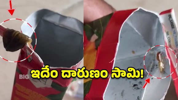 మాజా డ్రింక్‌లో పురుగు.. నాలుగేళ్ల బాలుడికి తప్పిన ప్రమాదం, వీడియో వైరల్..!