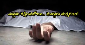 నా అల్లుడు ఇమామ్ కు కెప్టెన్సీ ఇవ్వండి..లేక‌పోతే అంద‌రి చిట్టా విప్పుతా