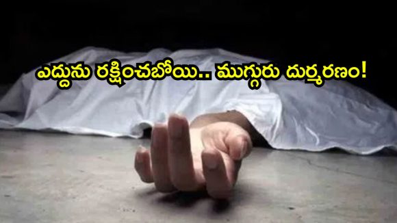 మధ్యప్రదేశ్‌లో విషాదం.. ఎద్దును రక్షించబోయి ముగ్గురు మృతి!