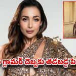 మలైకా గ్లామర్ దెబ్బకు తడబడ్డ పెద్దాయన…పరిస్థితి చూస్తే నవ్వు ఆగదు!వైరల్ వీడియో