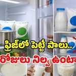 ఫ్రిజ్‌లో పాలు పెడుతున్నారా? ఈ తప్పు చేస్తే పారబోయాల్సిందే!