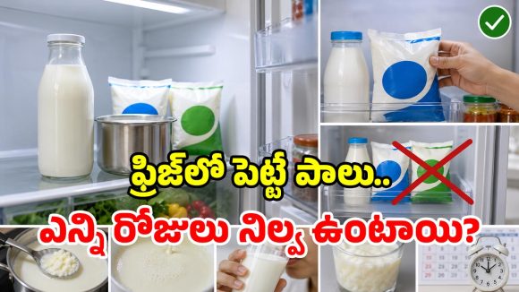ఫ్రిజ్‌లో పాలు పెడుతున్నారా? ఈ తప్పు చేస్తే పారబోయాల్సిందే!