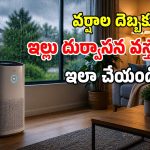 వానాకాలం స్పెషల్.. ఈ సెట్టింగ్స్ మార్చకపోతే.. ఎయిర్ ప్యూరిఫైయర్ ఉన్నా దండగే!
